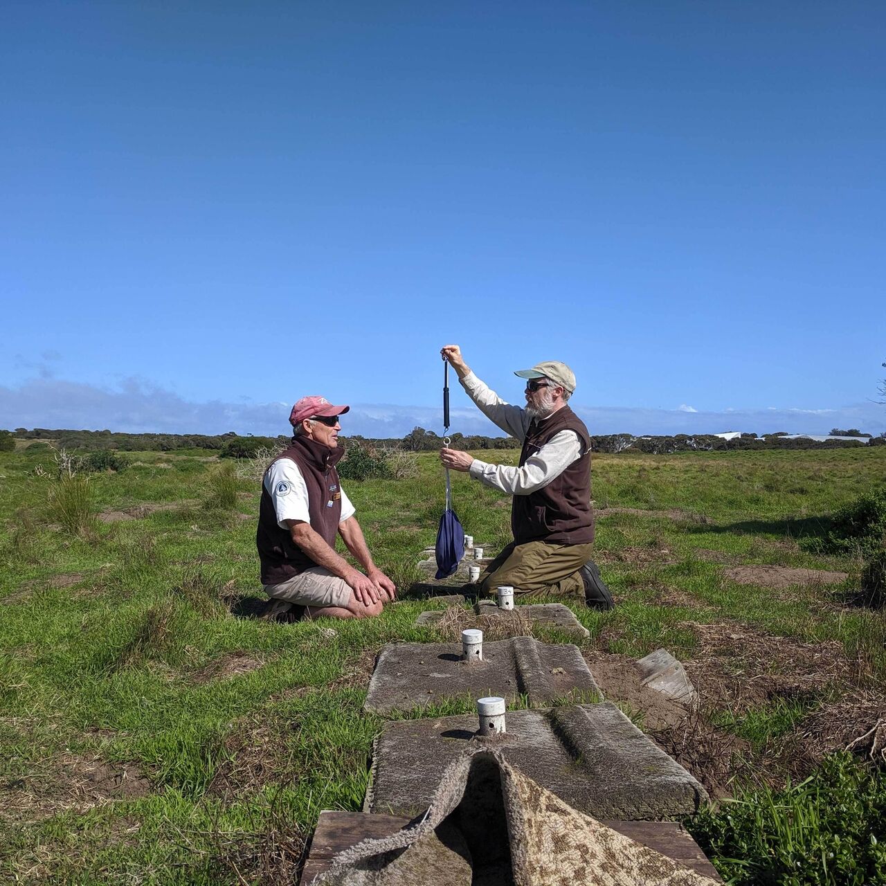 Shearwater research